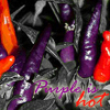 Obsessiveicons - Purple theme